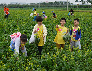 ga�ƽ��ƽ̨����˼���ֲ�