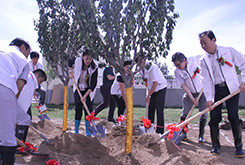 ��ga�ƽ��ƽ̨�����֡�ֲ���˶�