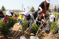 ��ga�ƽ��ƽ̨�����֡�ֲ���˶�